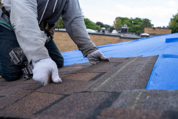 Best Residential Roofing Contractor  in Russellville, AL