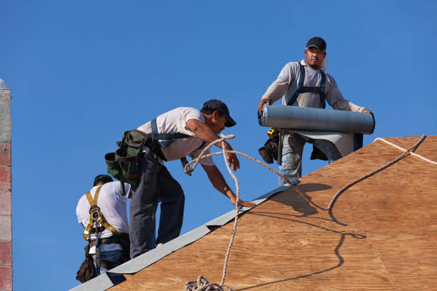 Best New Roof Installation  in Russellville, AL