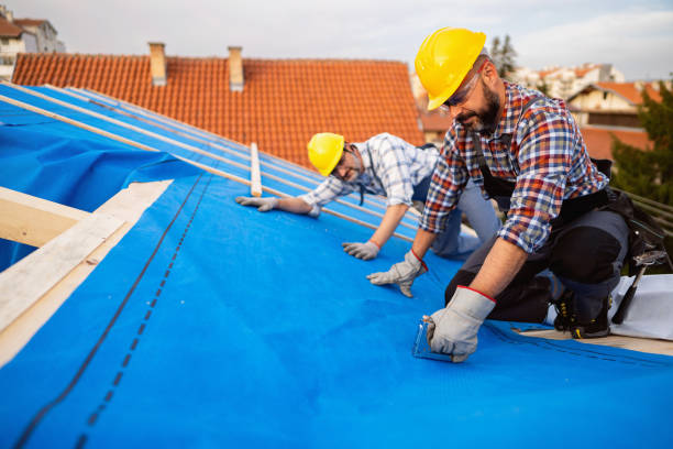 Best Commercial Roofing Services  in Russellville, AL