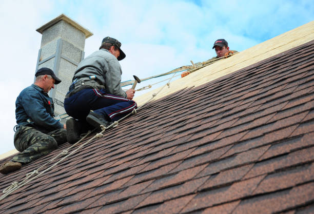 Best Metal Roofing Contractor  in Russellville, AL