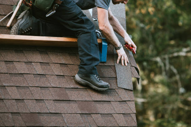 Best Storm Damage Roof Repair  in Russellville, AL
