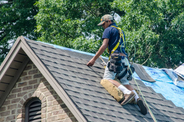 Best Gutter Installation and Roofing  in Russellville, AL